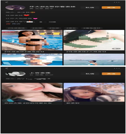 sheshe.png